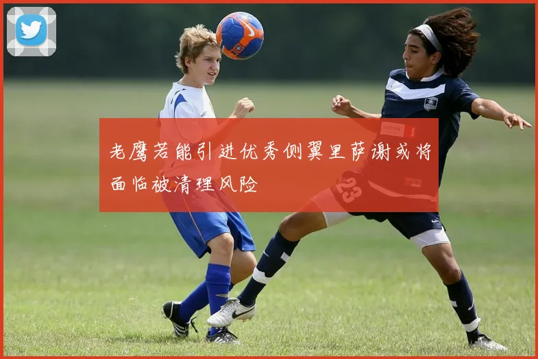 老鹰若能引进优秀侧翼里萨谢或将面临被清理风险