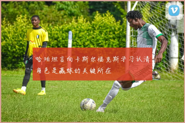 哈珀坦言向卡斯尔福克斯学习认清角色是赢球的关键所在